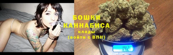 прущие грибы Аркадак
