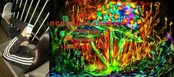 прущие грибы Аркадак
