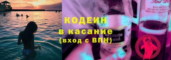 прущие грибы Аркадак