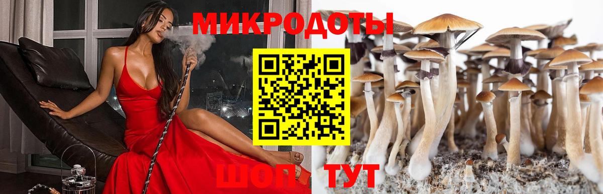 Петровск  Галлюциногенные грибы мухоморы  Вход с VPN  Псилоцибиновые грибы ЛСД 